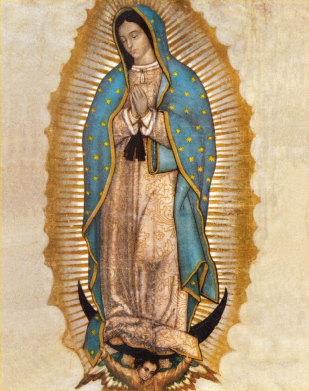 The image of the Virgin Mary that was on the "tilma" or cloak that Juan Diego wore. The actual tilma hangs at the altar at La Basilica de la Virgen de Guadalupe in Mexico City. It is over 500 years old. (photo from Catholictradition.org.)