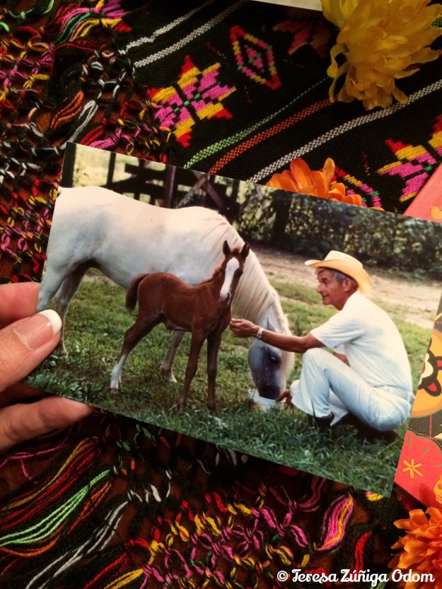 This photo of Uncle Jim kept getting reposted on Facebook shortly after his death.  I love this picture...a gentle and good man in the presence of animals.  