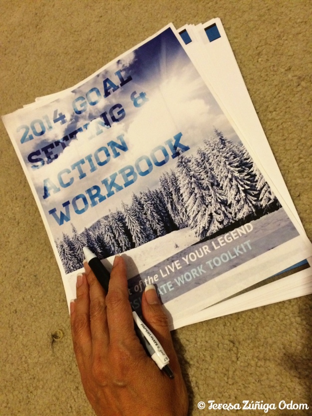 Scott Dinsmore's goal setting workbook that I used in July 2014 that lead me to start my blog...