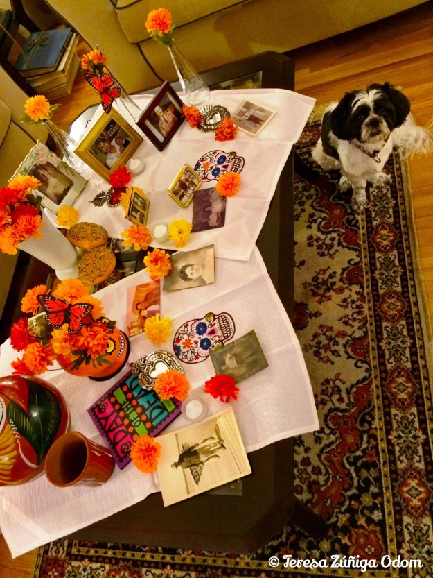 My coffee table altar with pictures of my mother's family - her parents, sister, grandparents...  My pup, Lucy helped by watching.