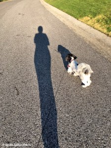 Me and my shadow - Lucy