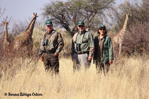 Our encounter with a safari of giraffe in Namibia, Africa this past August.